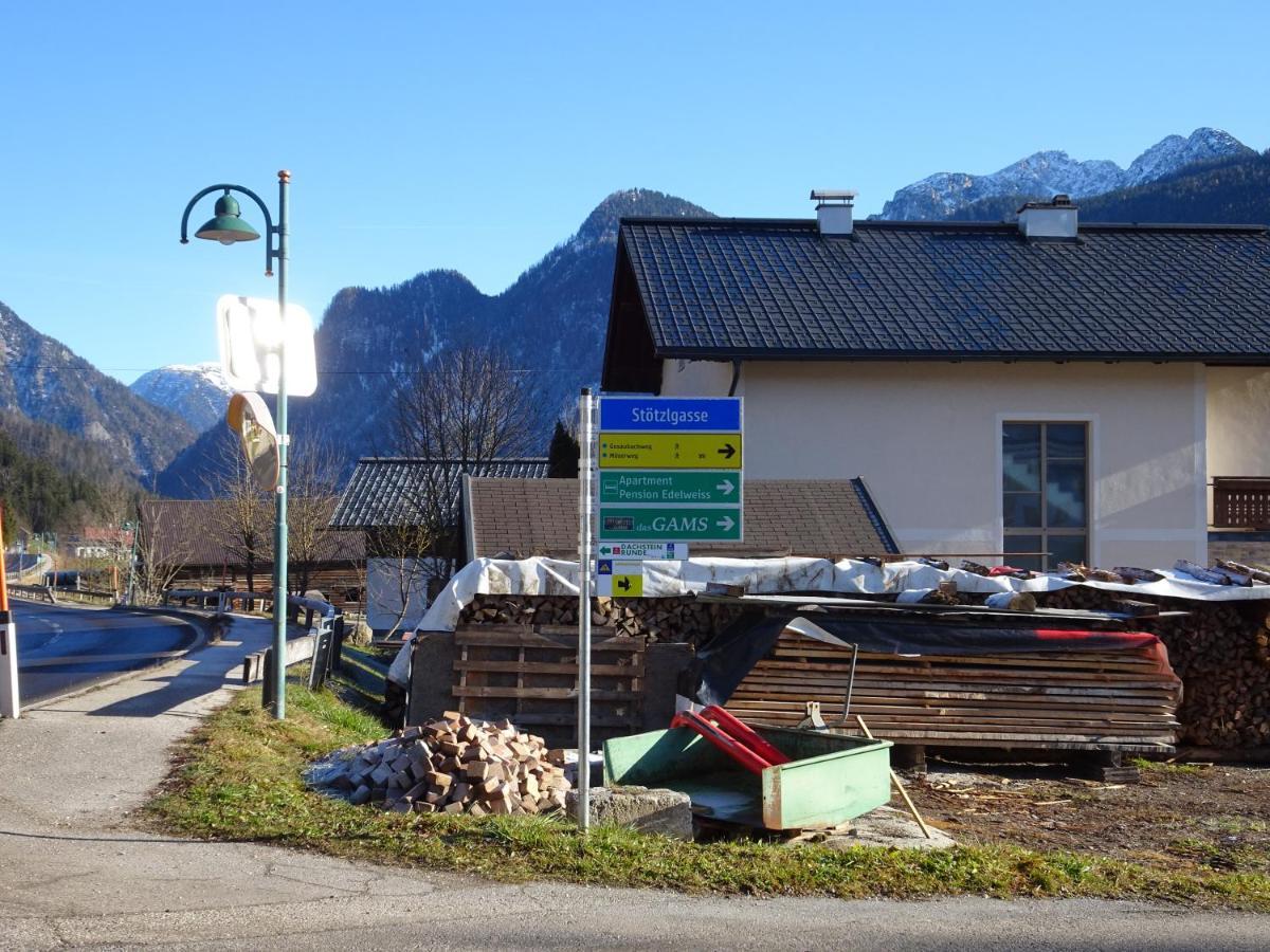 Apartmenthaus Edelweiss in Gosau Exterior foto