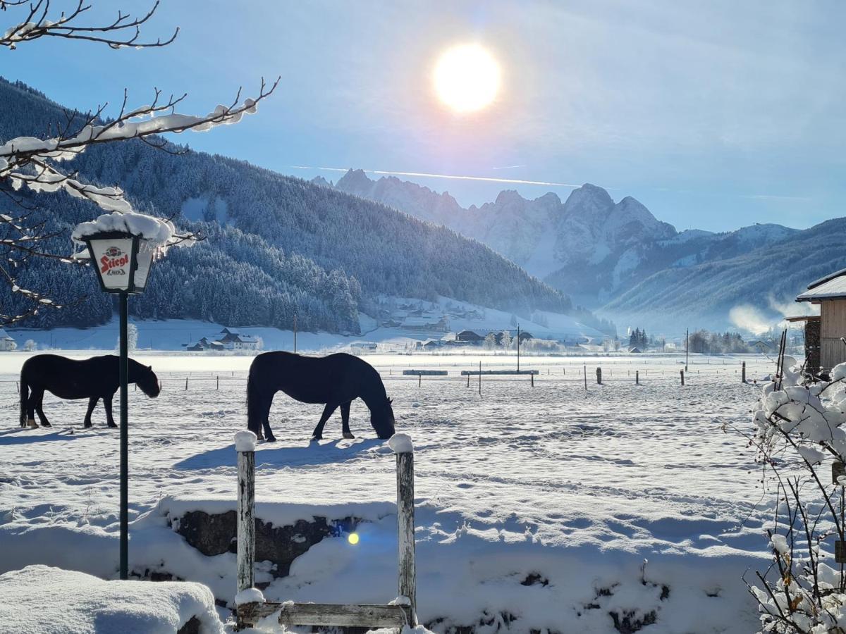 Apartmenthaus Edelweiss in Gosau Exterior foto