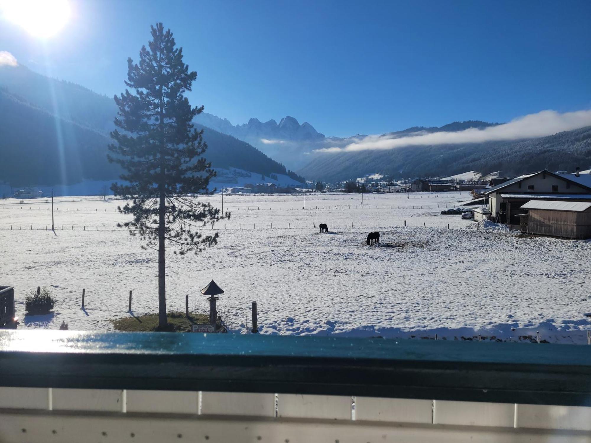 Apartmenthaus Edelweiss in Gosau Exterior foto