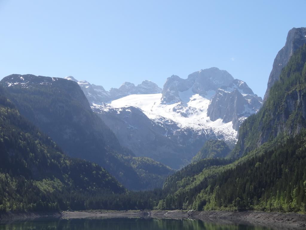 Apartmenthaus Edelweiss in Gosau Zimmer foto