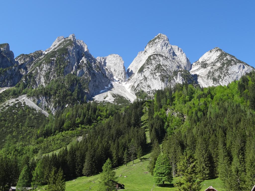 Apartmenthaus Edelweiss in Gosau Zimmer foto